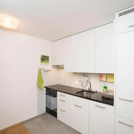 Chesa Quadrella By Interhome Pontresina